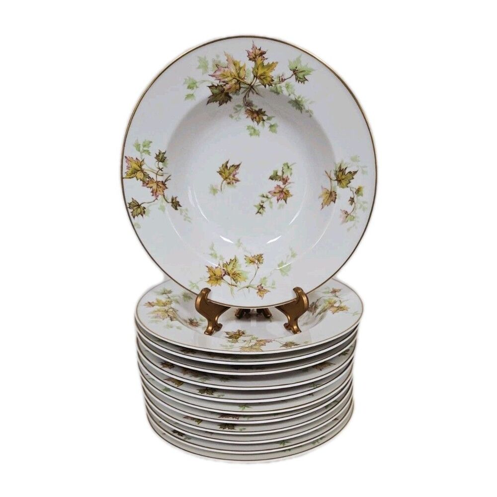 Vintage Haviland Limoges France Autumn Leaf 8" Rimmed Soup Bowl Lot Of 12